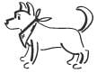 Hundehalstücher