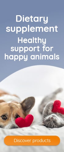 Support for happy animals
