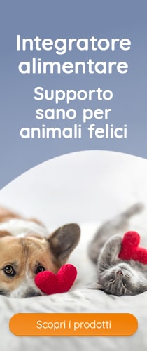 Supporto per animali felici