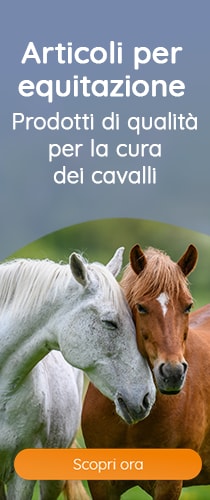 Cura di qualità per il tuo cavallo