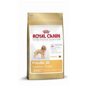 Royal-Canin Poodle 30 | Pudel