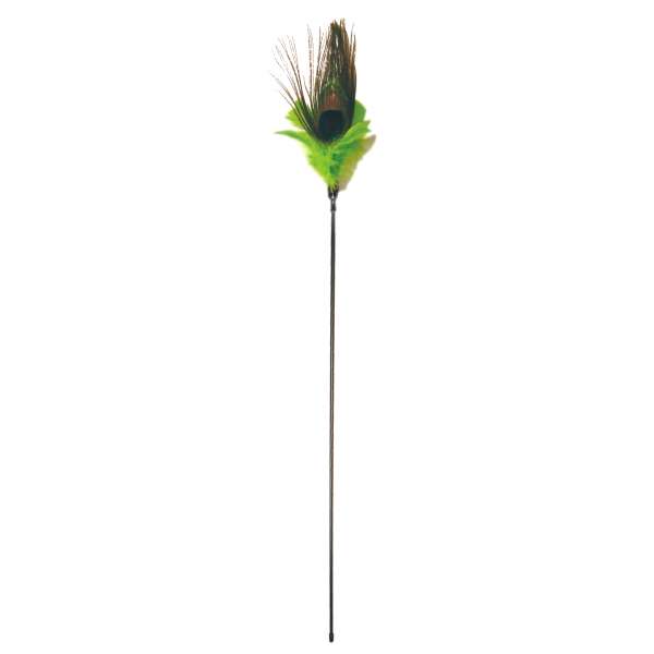 PURRfect Peacock Feather | Katzenangel