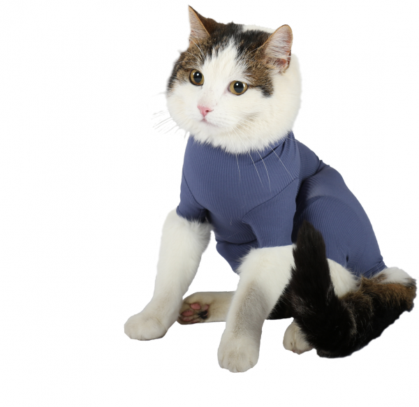 VetMedCare CAT BODY | Indigo Blue | für Katzen