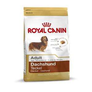 Royal Canin Dachshund 28 | Dackel