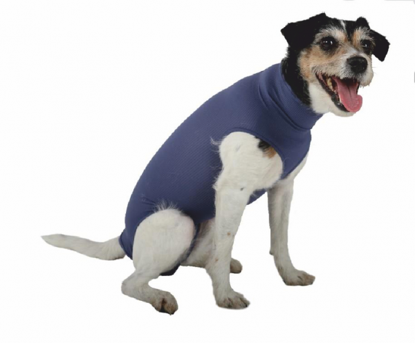 VetMedCare DOG BODY ohne Beine | Blau | für Hündinnen und Rüden