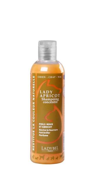 LadyBel Lady Apricot | Hundeshampoo
