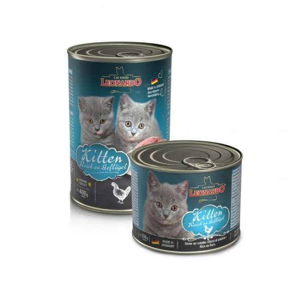 LEONARDO® Quality Selection | Kitten