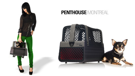 4pets_penthouse_montreal_1