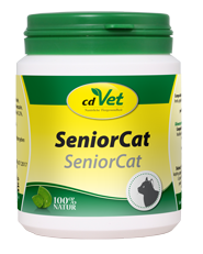 cdVet Senior Cat