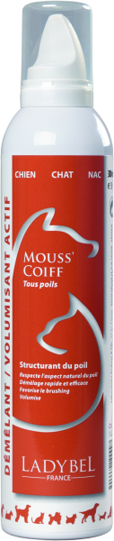 LadyBel Mouss&#039;Coiff | 300ml Volumizing Mousse
