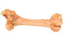 Jumbo Knochen | vom Rind | 1.2 kg Hundesnack