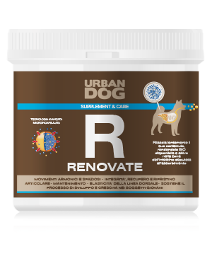 Urban Dog RENOVATE | für Gelenke &amp; Knorpel | Nahrungsergänzung für Hunde