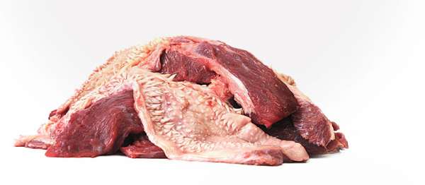 Maulfleisch vom Rind | 0,5 kg für Hunde &amp; Katzen