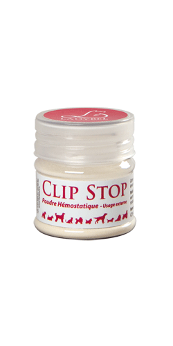 LadyBel Clip Stop | Stop kleinerer Blutungen