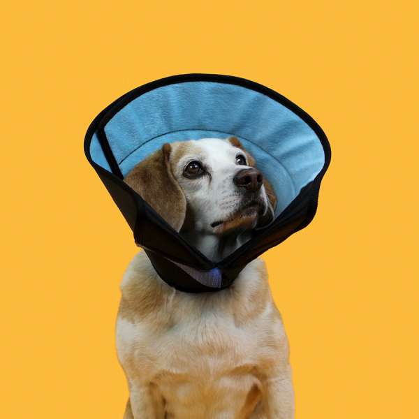 KVP Calmer Collar | Halskrause für Hunde