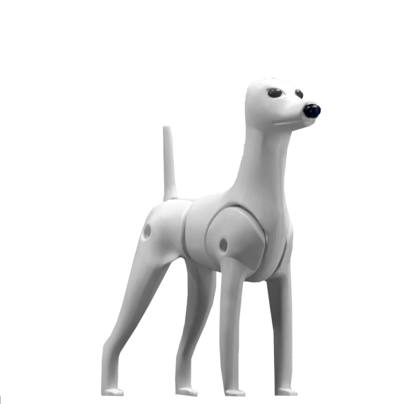 Modellhund Pudel | Für das Training und die Ausbildung