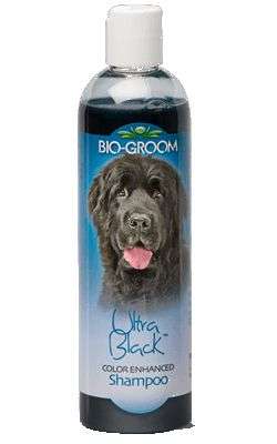 Bio Groom Ultra-Black Shampoo
